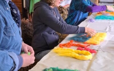 Workshop vilten met Dis Groenhoff zaterdag 11 oktober v.a. 10.00u